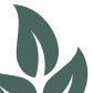 Decorative leaf